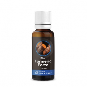 Blue Turmeric Drop Forts